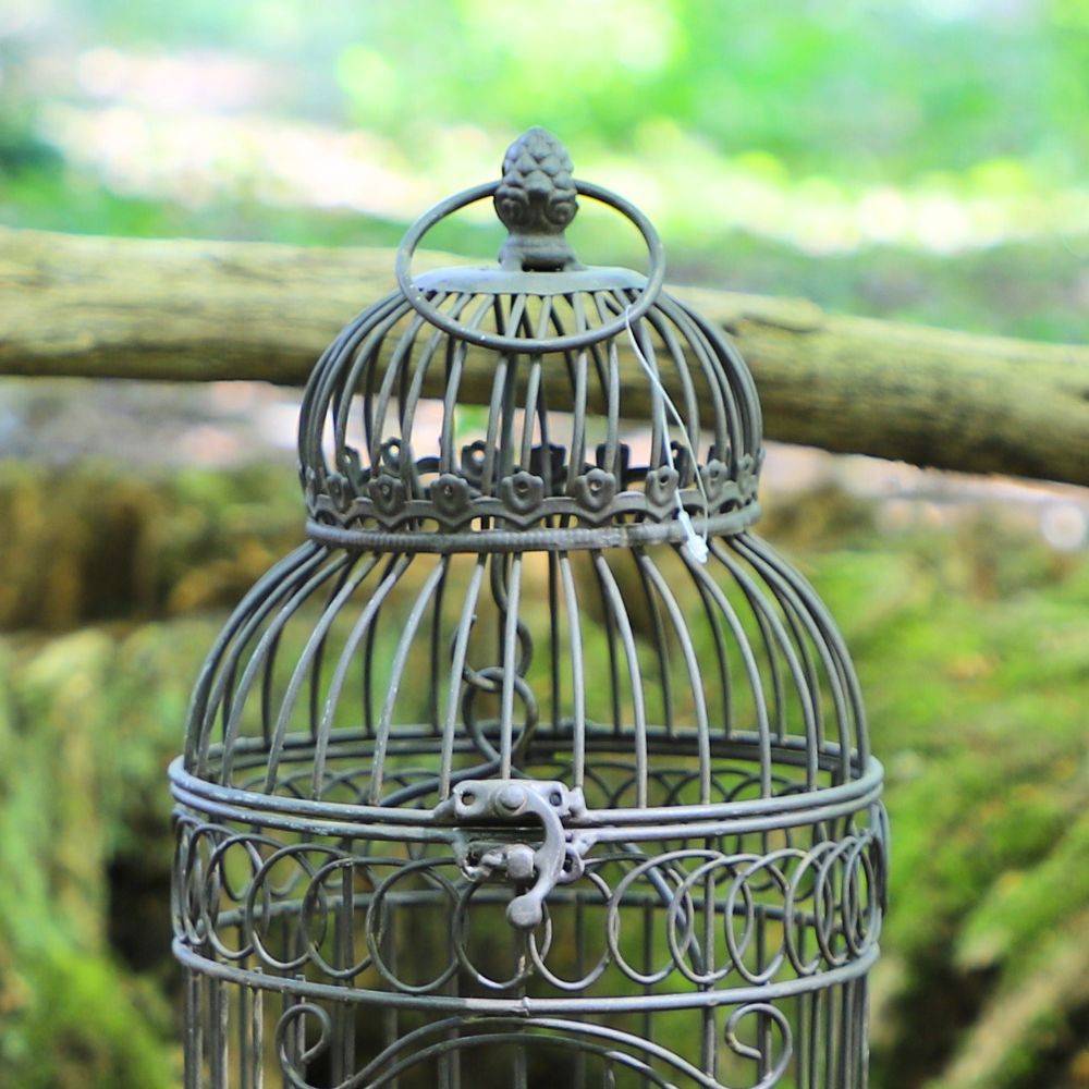 Cage à oiseaux décorative ancienne métal marron 16.5x40cm Chemin de campagne - Image 4