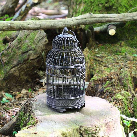 Cage à oiseaux décorative ancienne métal marron 16.5x40cm Chemin de campagne - Image 3