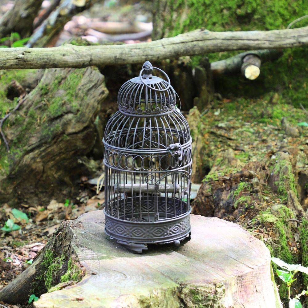 Cage à oiseaux décorative ancienne métal marron 16.5x40cm Chemin de campagne - Image 3