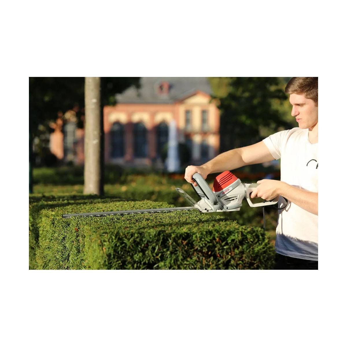 Taille-haie électrique 600W Double lame 55 cm Poignée ergonomique pivotante Frein électrique IKRA - Image 3