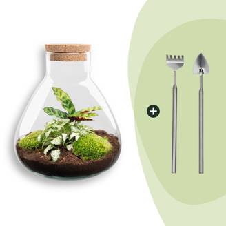 Terrarium à composer bouteille en verre recyclé - H26cm - avec râteau et pelle - Terrarium DIY