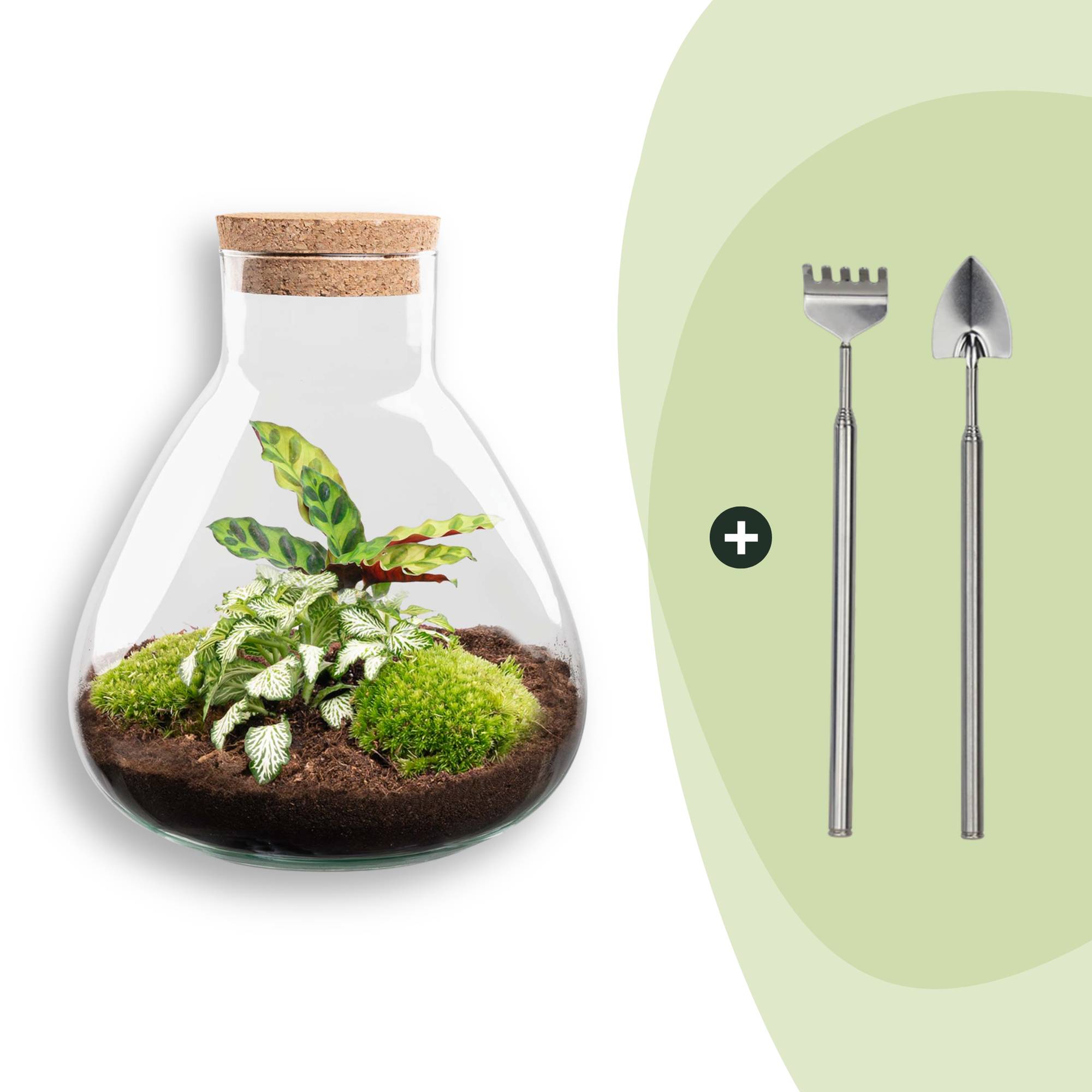 Terrarium à composer bouteille en verre recyclé - H26cm - avec râteau et pelle - Terrarium DIY - Image 1