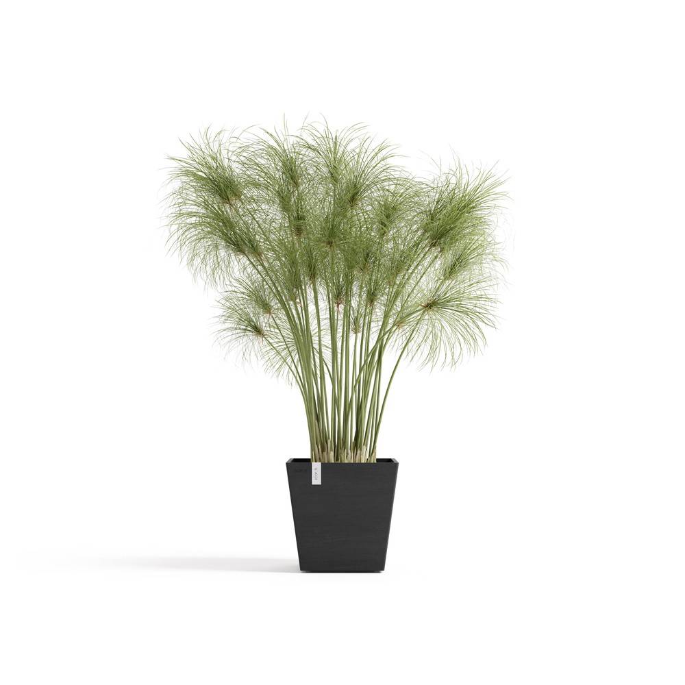 Ecopots - Pot Carré Rotterdam 25 Gris Foncé + réservoir d'eau - 25,2 x 25,2 x H. 24,5 cm - 10,7 L ECOPOTS - Image 1