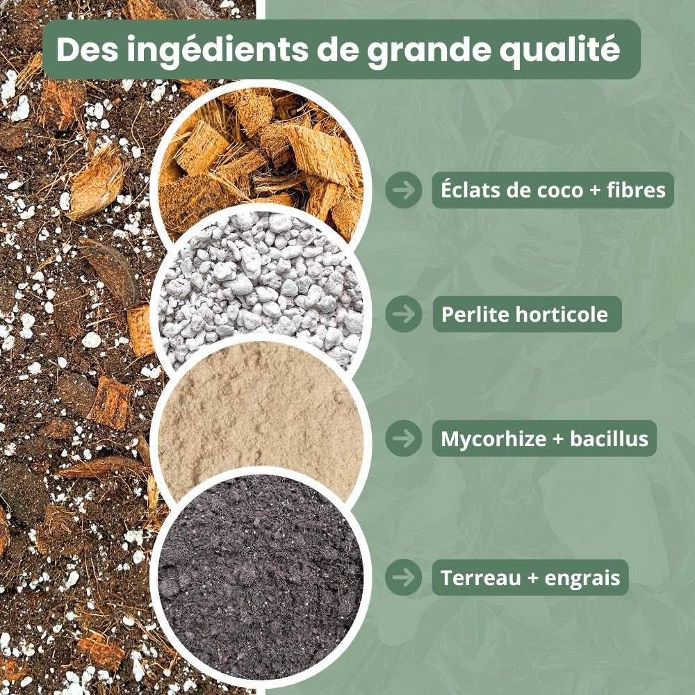 Terreau monstera - Enrichi en mycorhize et bacillus - Substrat Aracées - 4L - Terreau rempotage - Image 7