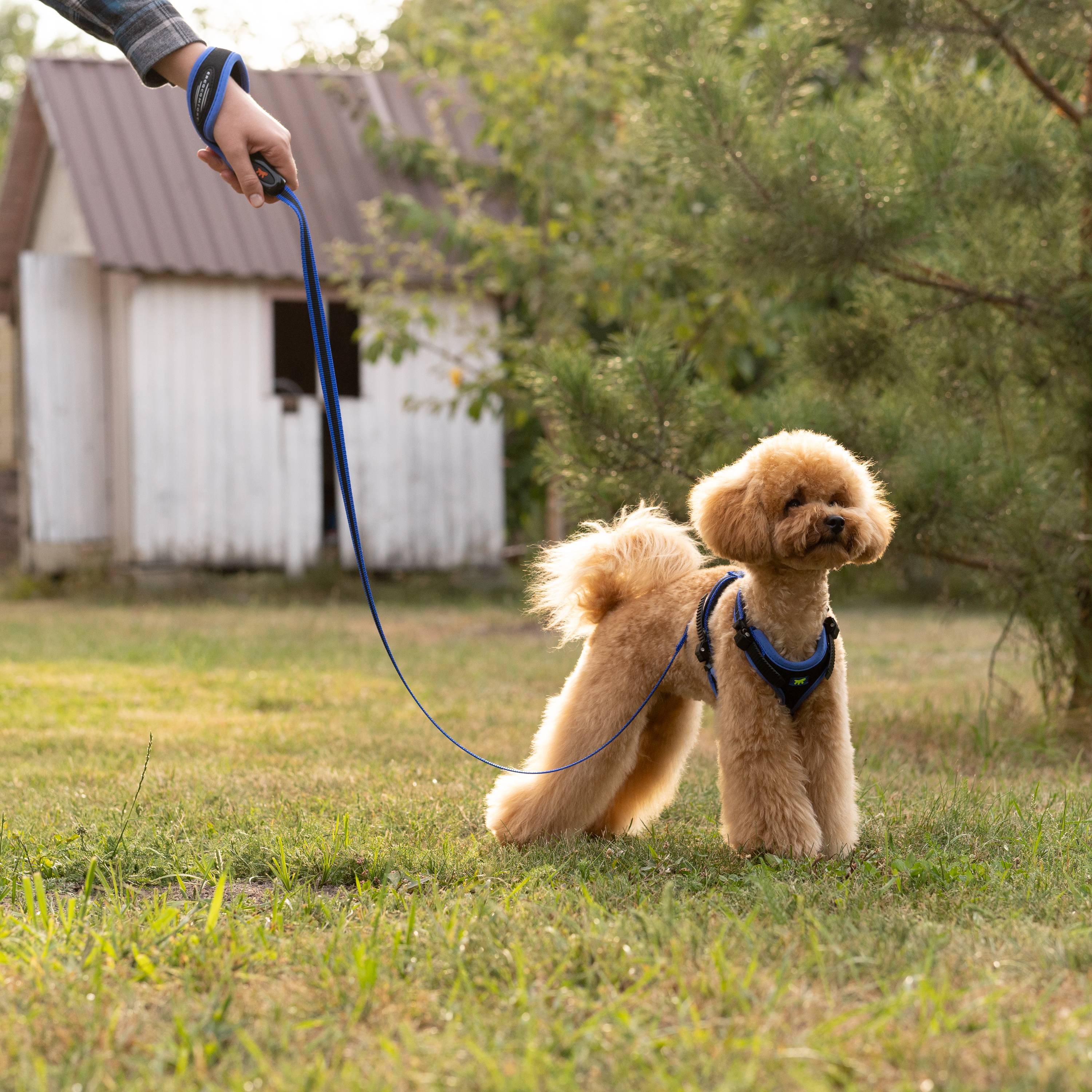 Ferplast - Ferplast Harnais pour Chien Petite Taille ERGOCOMFORT EXTRA SMALL, Harnais pour Chien Ajustable, Confortable, Rembourré, Fermeture Double - Image 3