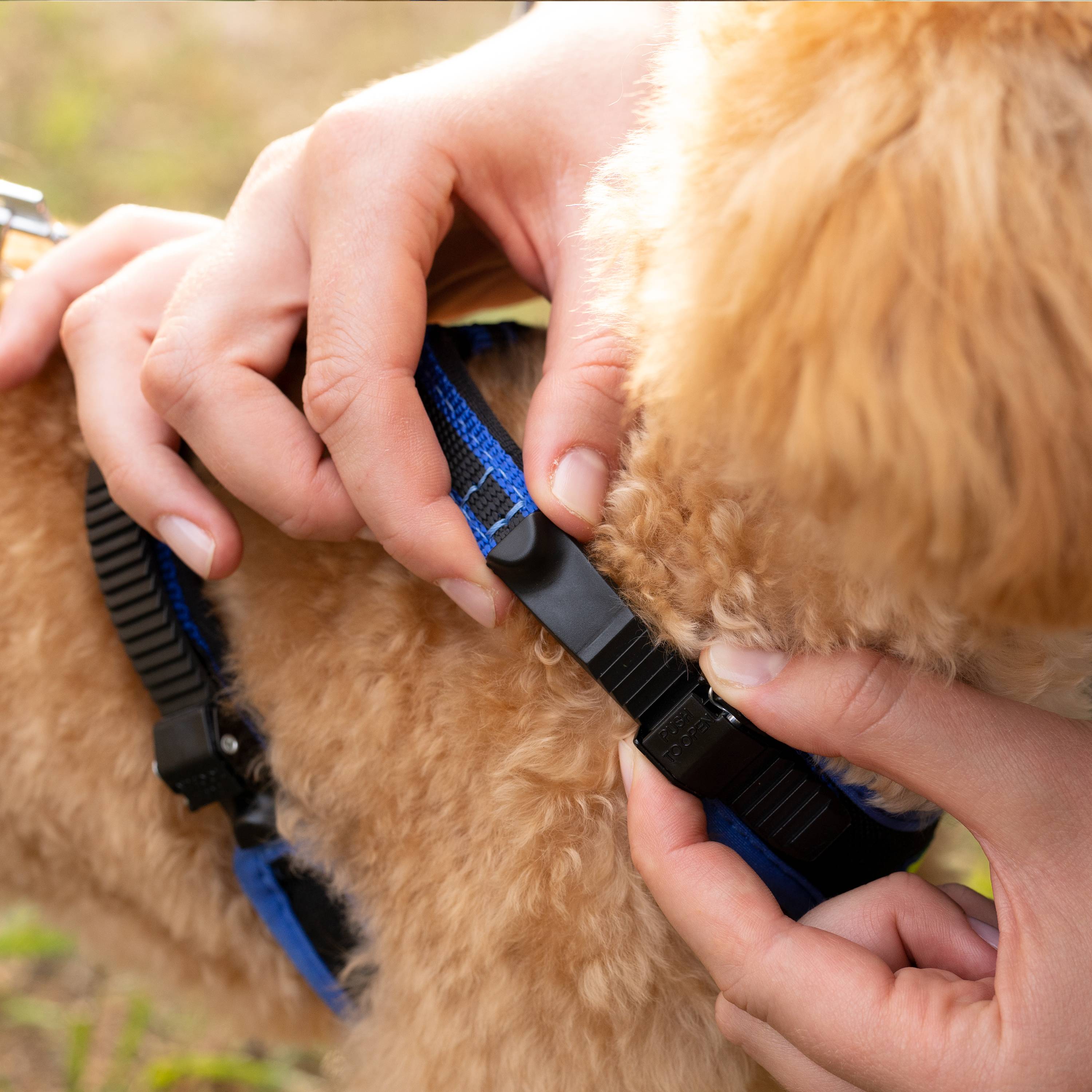 Ferplast - Ferplast Harnais pour Chien Petite Taille ERGOCOMFORT EXTRA SMALL, Harnais pour Chien Ajustable, Confortable, Rembourré, Fermeture Double - Image 4