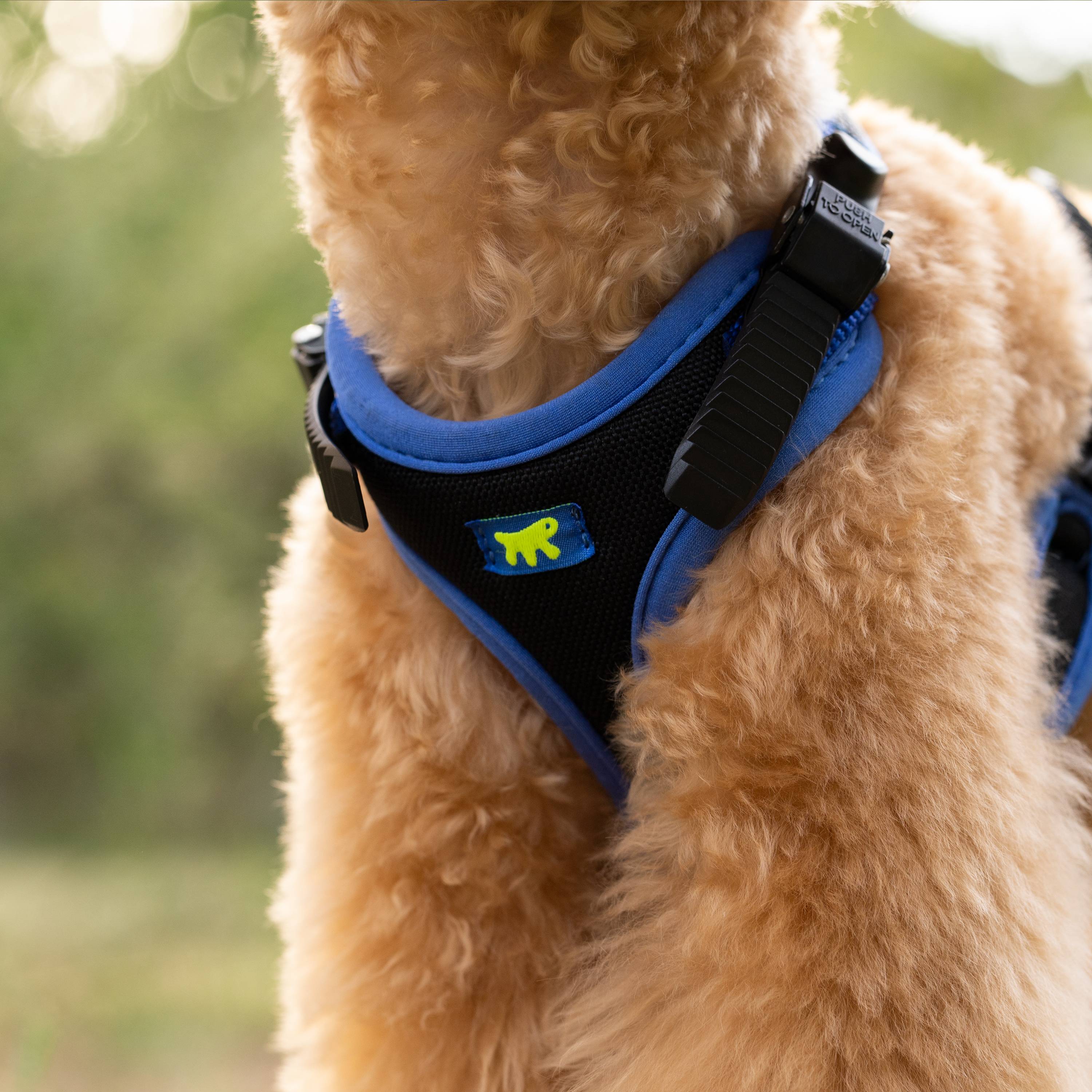 Ferplast - Ferplast Harnais pour Chien Petite Taille ERGOCOMFORT EXTRA SMALL, Harnais pour Chien Ajustable, Confortable, Rembourré, Fermeture Double - Image 5