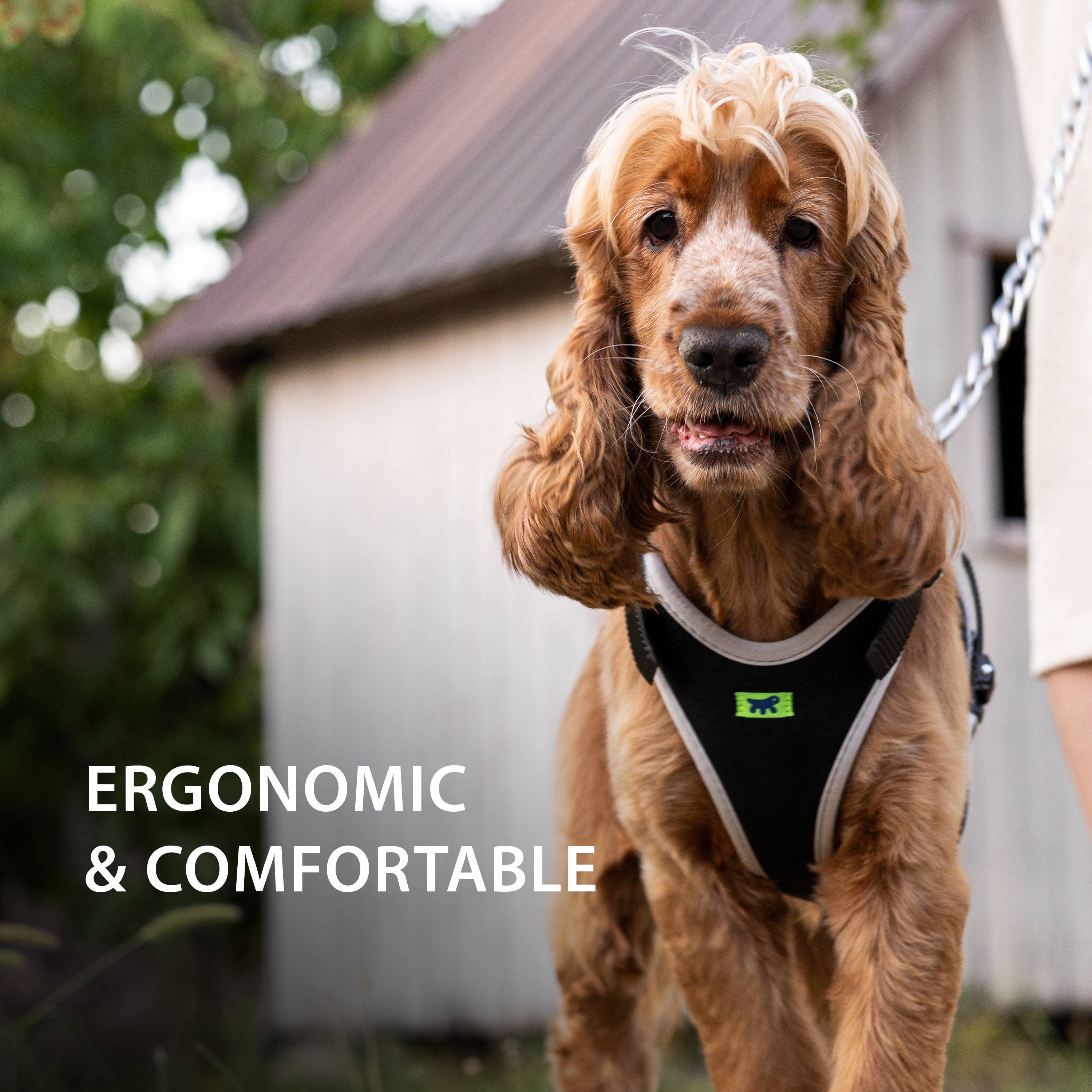 Ferplast - Ferplast Harnais pour Chien Petite Taille ERGOCOMFORT EXTRA SMALL, Harnais pour Chien Ajustable, Confortable, Rembourré, Fermeture Double - Image 6