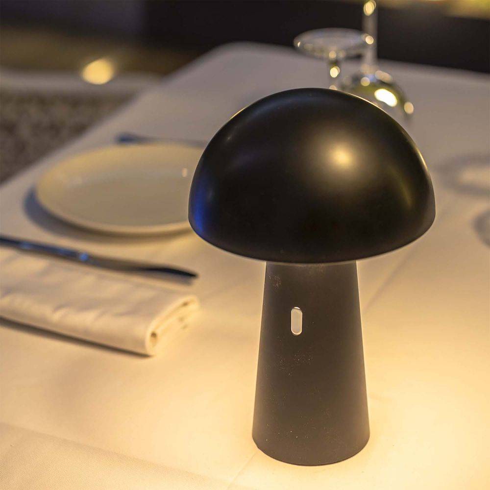 Lampe de jardin sur batterie Shitake - Image 2
