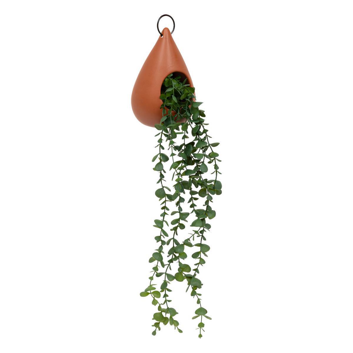 Atmosphera - Plante suspendue goutte H60cm caramel - Atmosphera Créateur d'intérieur - Image 1