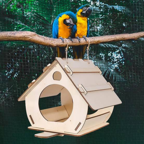 IntiMeg - Nid d'oiseau en bois pour extérieur IntiMeg - Image 5