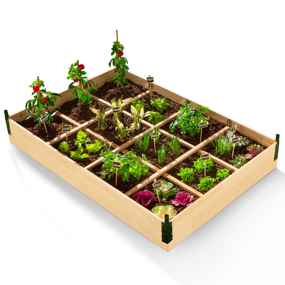 Carré potager 12 compartiments + housse serre châssis - Image 4
