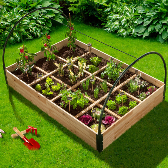 Carré potager 12 compartiments + housse serre châssis - Image 1