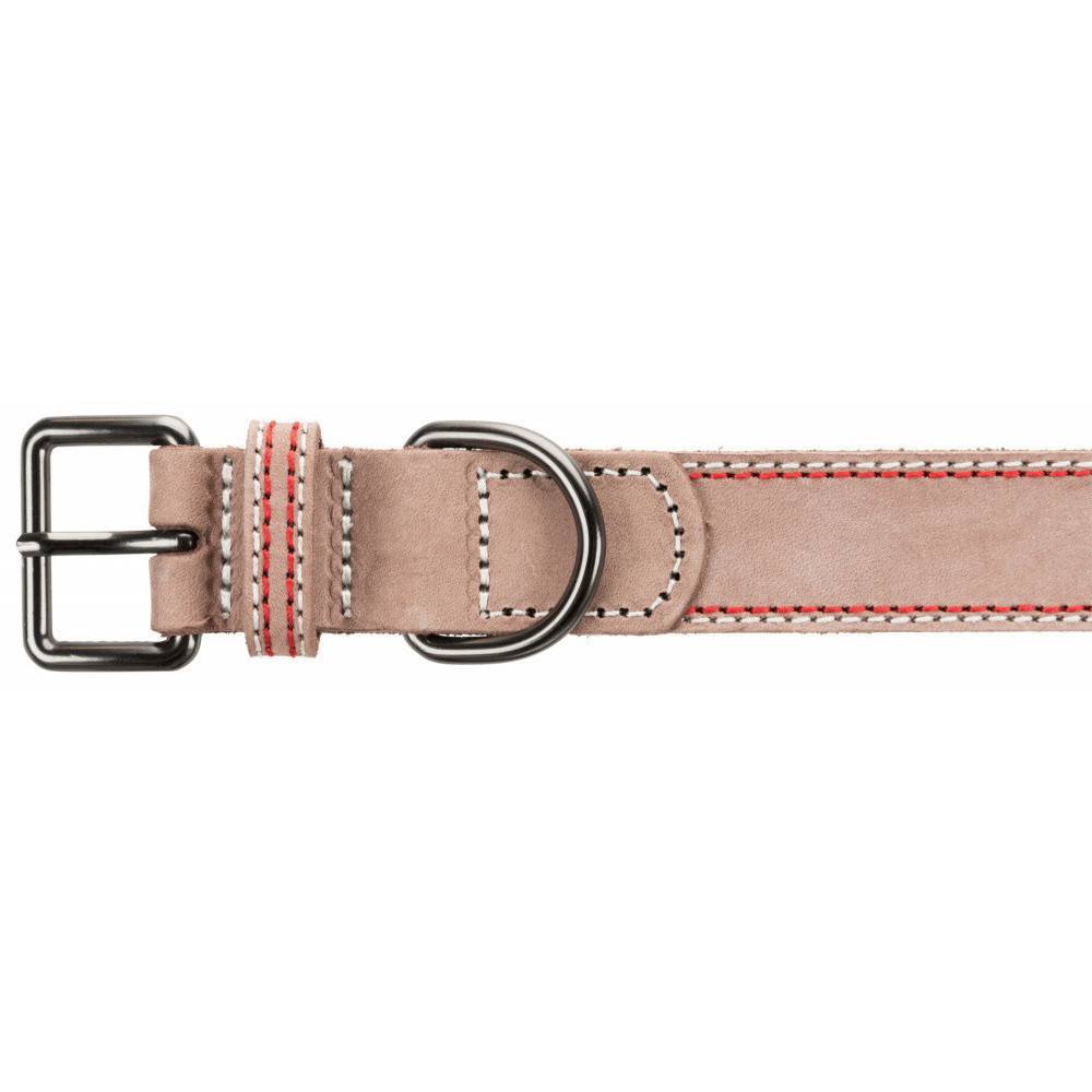 Trixie - Trixie - Collier cuir S 31-37 cm/15 mm taupe pour chien - Image 5