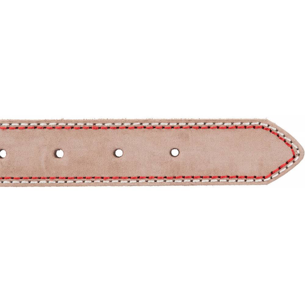 Trixie - Trixie - Collier cuir S 31-37 cm/15 mm taupe pour chien - Image 6