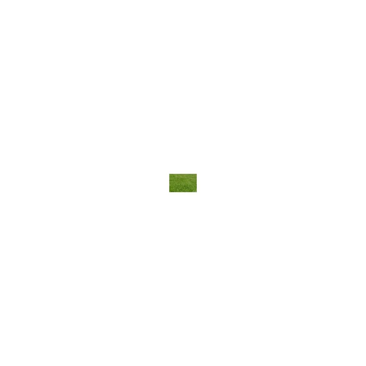 Secret Vert - Terreau Bio-Actif UAB - Secret Vert - Sac de 40L - Image 3