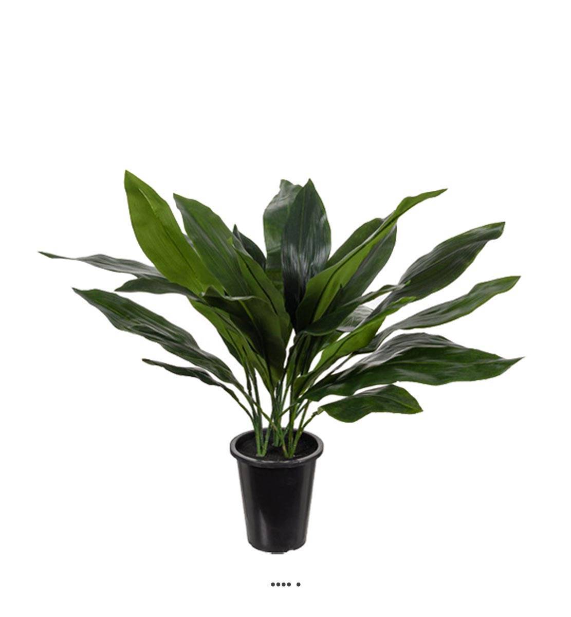 Artificielles - Aspidistra artificiel en pot, feuillage dense, H 75 cm, D 71 cm - Image 1