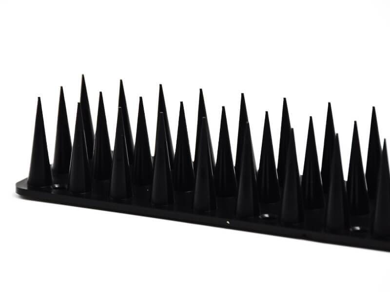 Pics anti-intrusion - Chats - 1ml Noir - Image 1