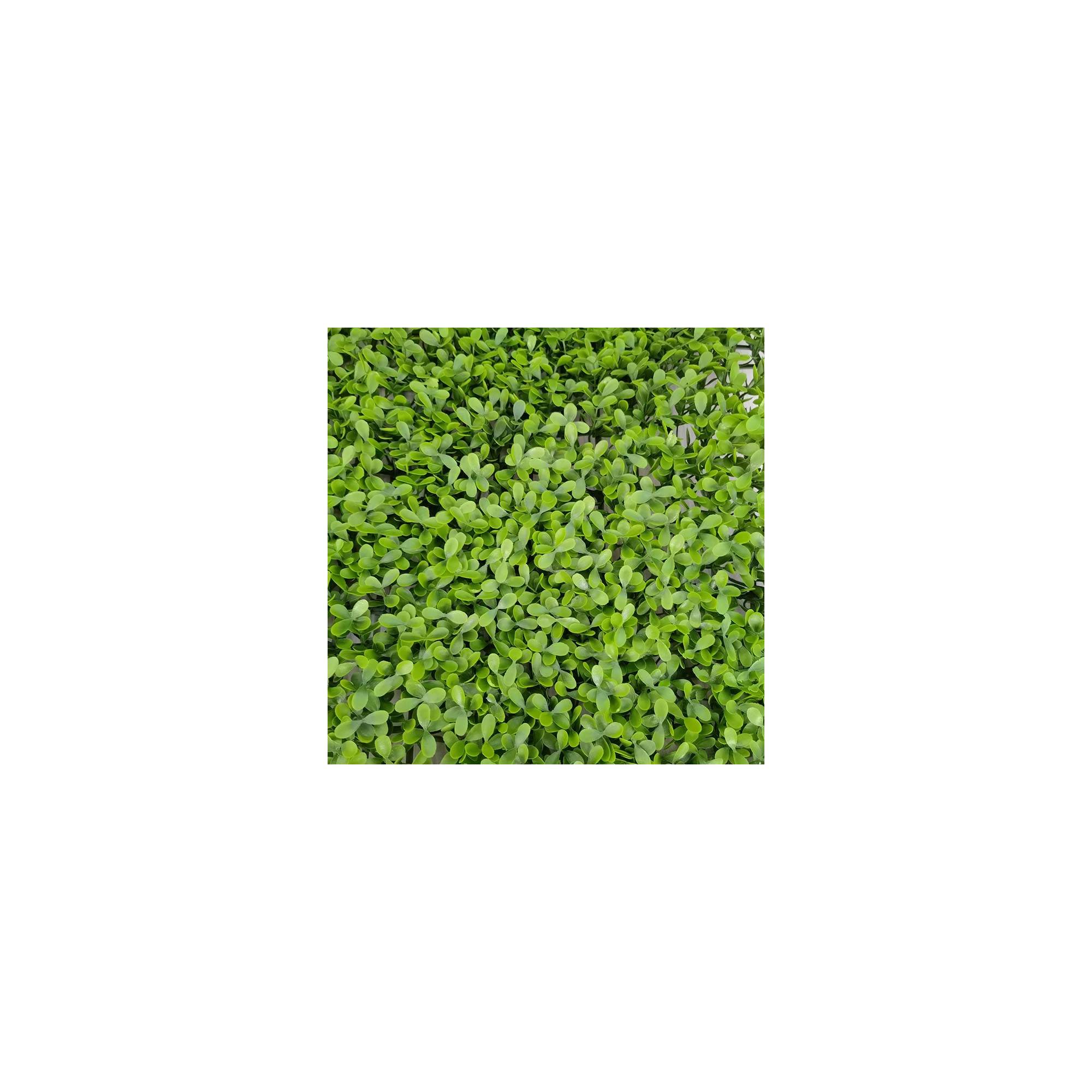 Sans Marque - Mur végétal artificiel - Modèle vert - Dimensions : 50 x 50 cm - Image 3