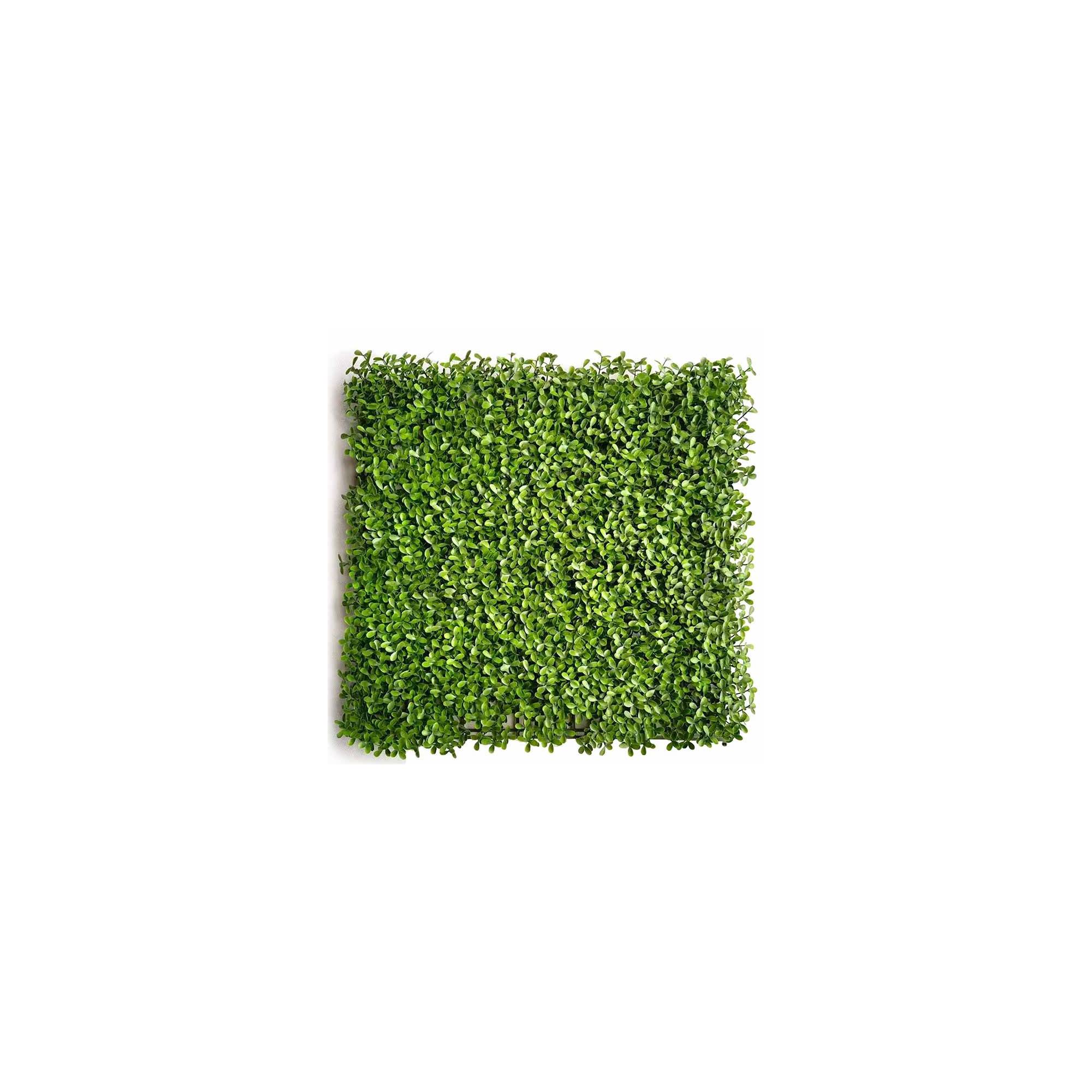 Sans Marque - Mur végétal artificiel - Modèle vert - Dimensions : 50 x 50 cm - Image 1