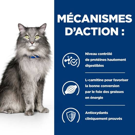 CROQUETTES CHAT ADULT PRESCRIPTION DIETS L/D LIVER CARE - HILL'S 1,5 kg - Image 4