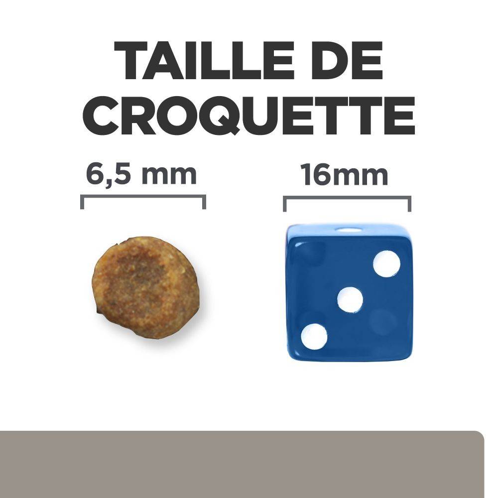 CROQUETTES CHAT ADULT PRESCRIPTION DIETS L/D LIVER CARE - HILL'S 1,5 kg - Image 5