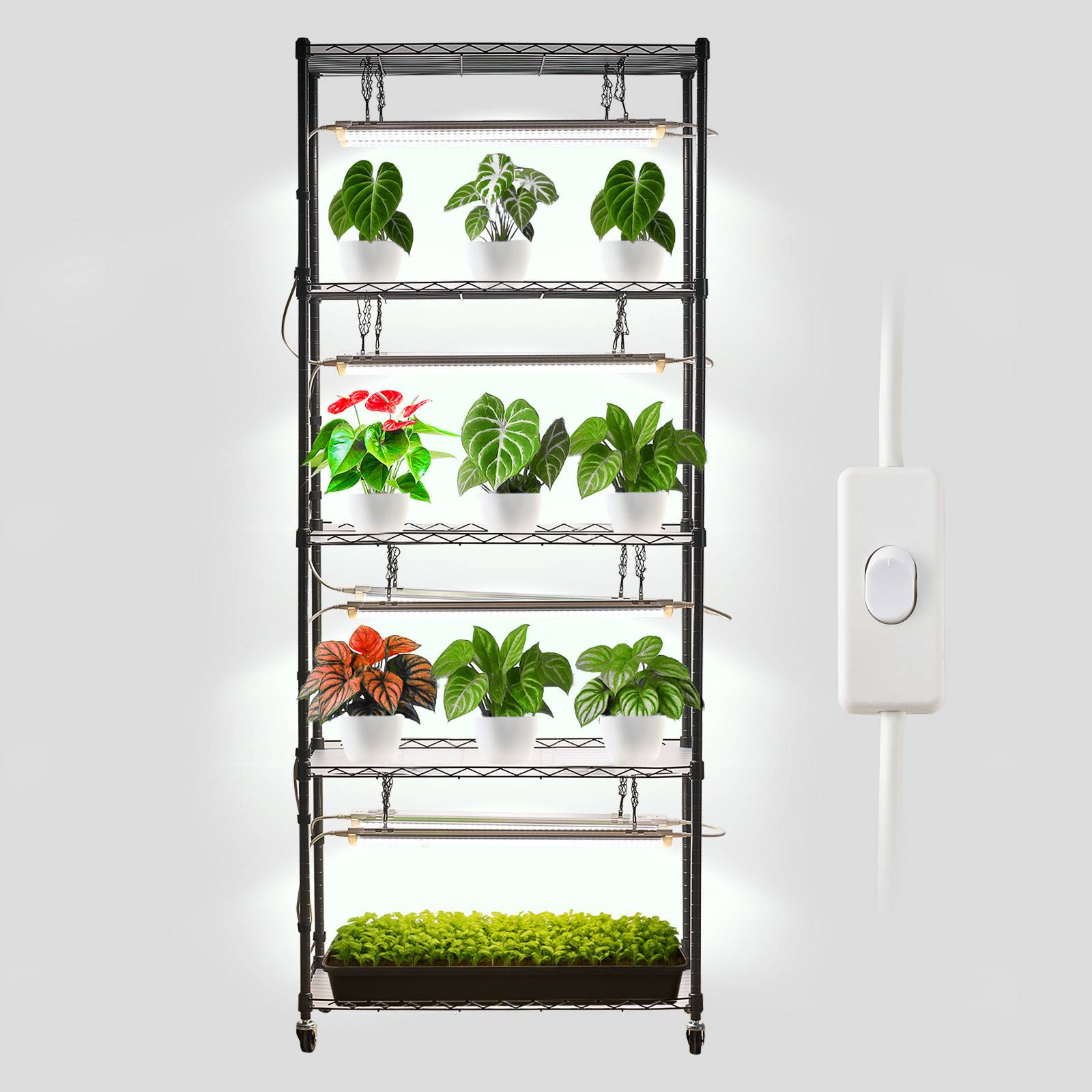 Vevor - VEVOR Étagère plantes 6 niveaux 180 cm, 8 LED 24W 192W, spectre complet 5000K, roulettes, structure métal - Image 1