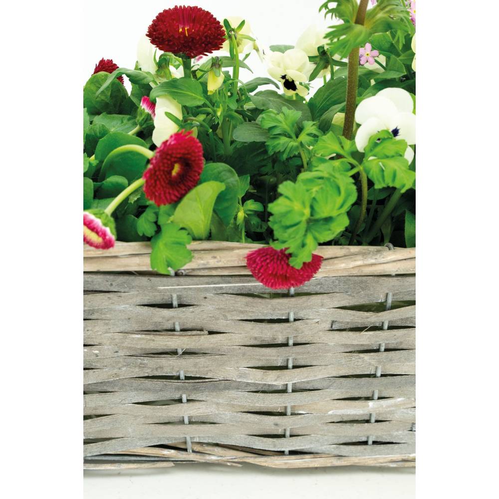 Aubry Gaspard - Jardinière en osier et bois 50 x 16 x 15 cm - Image 2