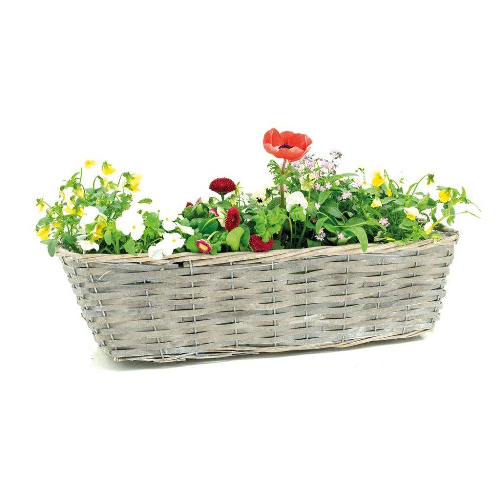 Aubry Gaspard - Jardinière en osier et bois 50 x 16 x 15 cm - Image 4