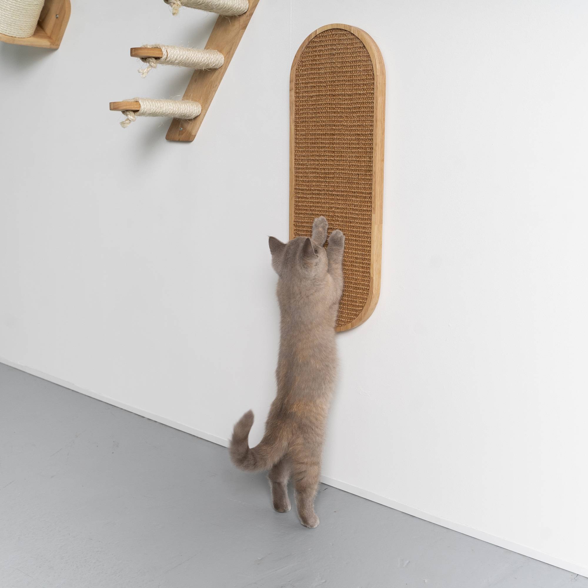 Rhr Concepts Bv - Mur d’escalade pour chat - Tableau mural à gratter de Luxe (hévéa kaki) - RHR Concepts BV - Image 2