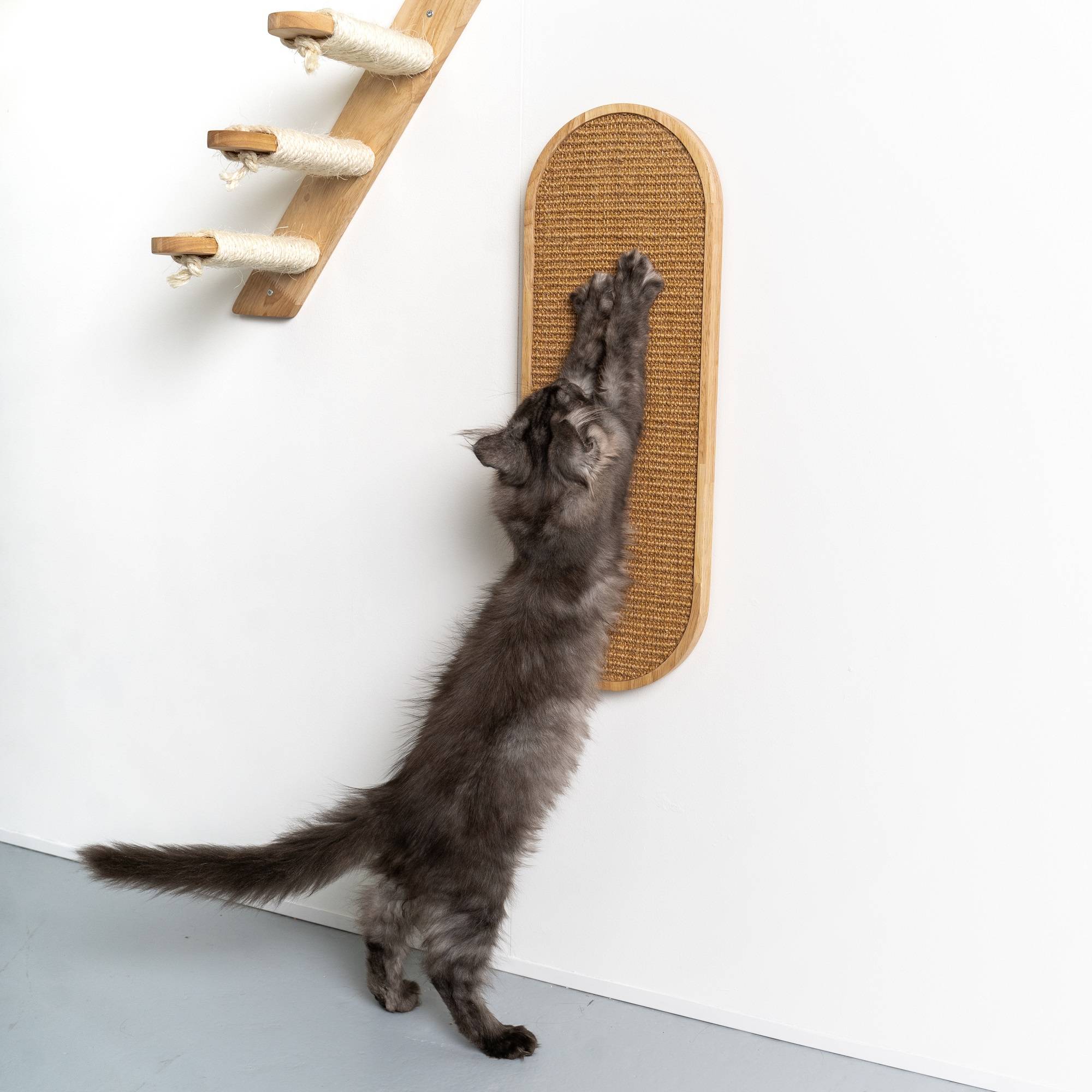Rhr Concepts Bv - Mur d’escalade pour chat - Tableau mural à gratter de Luxe (hévéa kaki) - RHR Concepts BV - Image 3