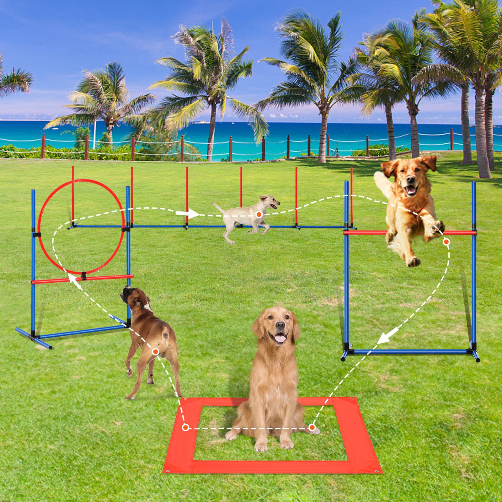 VEVOR Équipements agilité chien, 4 pièces, haies, 6 poteaux. Anneau saut, sifflet, bol. - Image 8