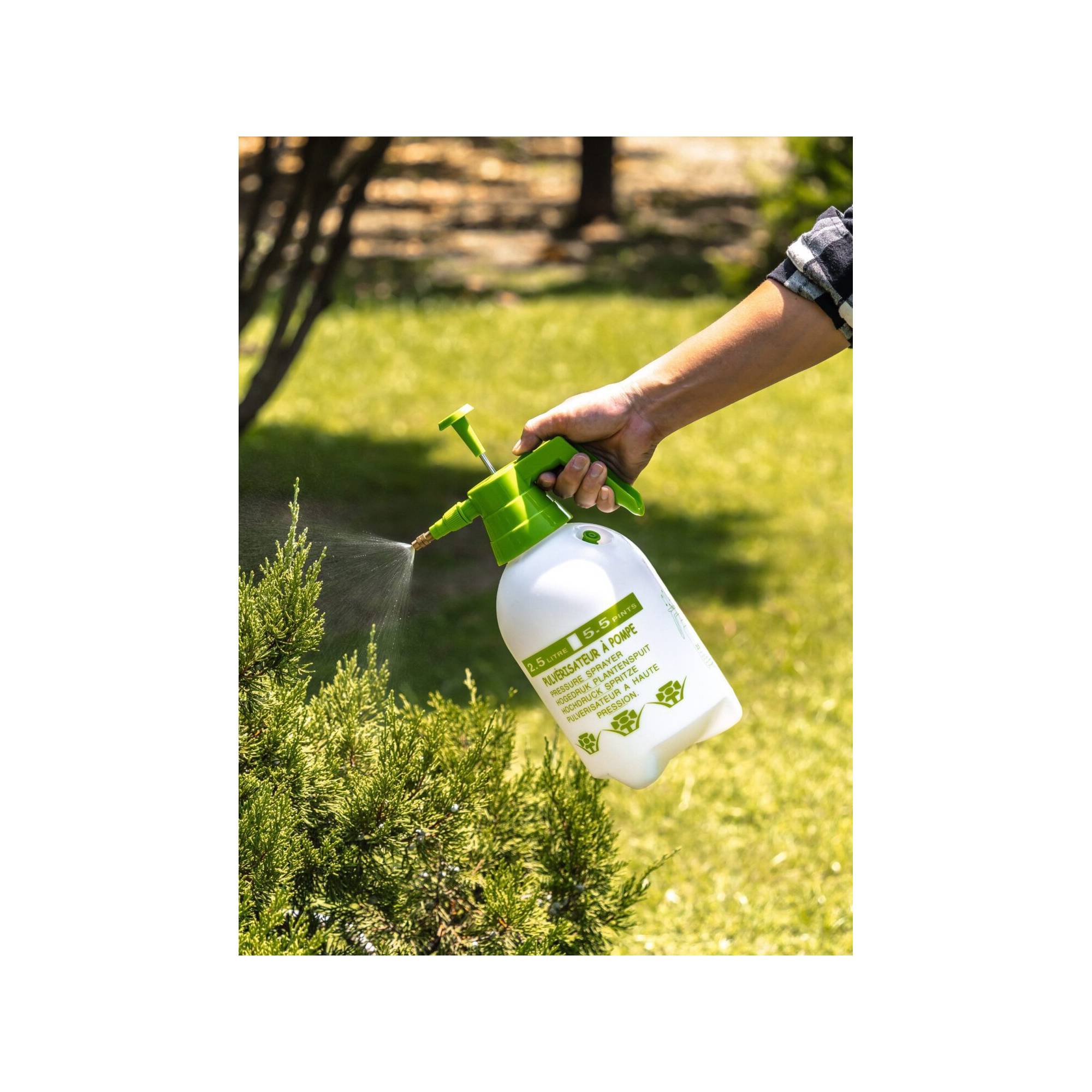 Pulvérisateur à pression - Suan - Multiusages pour le jardin et la maison - Contenance : 2500 ml - Image 2