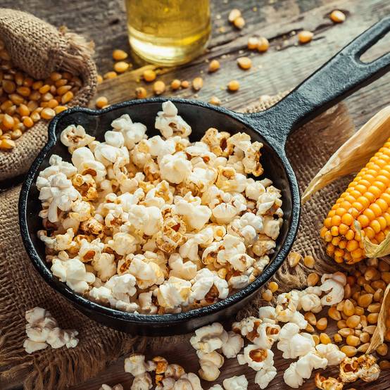 Maïs pour popcorn Plomyk le sachet de 45 graines environ (10g)