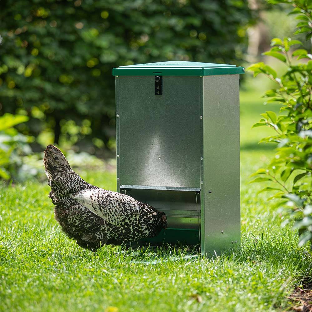 Olba - Mangeoire renforcée 20 kg, anti-rats pour 10 poules - Image 3