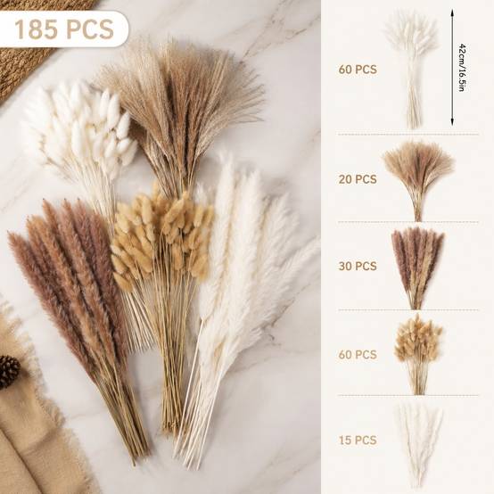 185 Pièces Bouquet Fleurs Séchées Pampas Décoration Boho pour Mariage Salon Chambre - Image 5