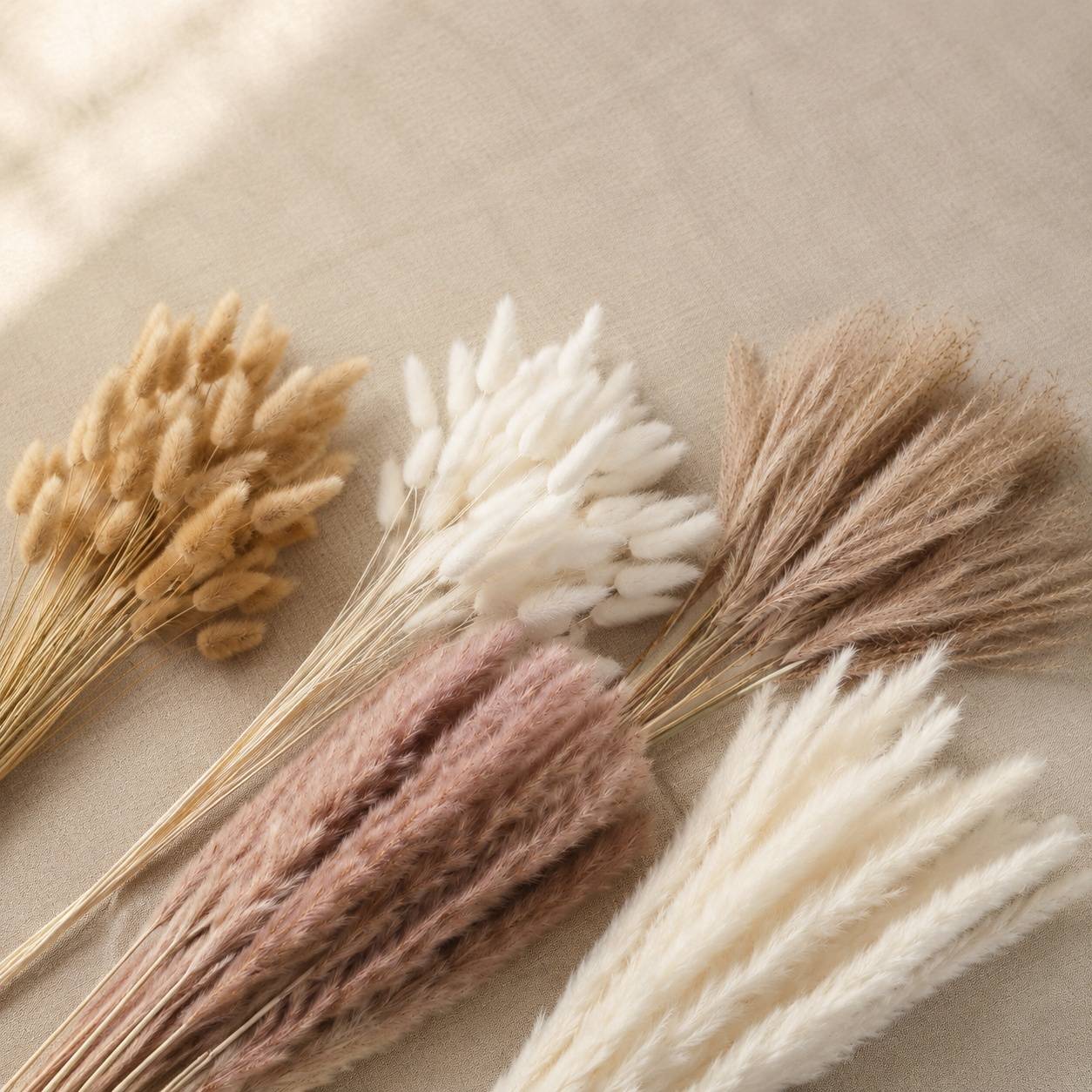 185 Pièces Bouquet Fleurs Séchées Pampas Décoration Boho pour Mariage Salon Chambre - Image 6
