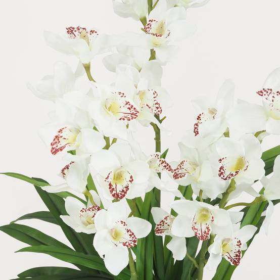 Ligne Deco - Cymbidium artificiel 155cm - Image 5