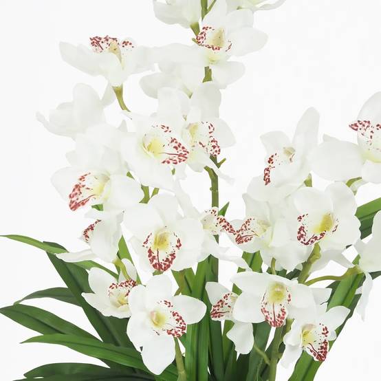 Ligne Deco - Cymbidium artificiel 155cm - Image 4