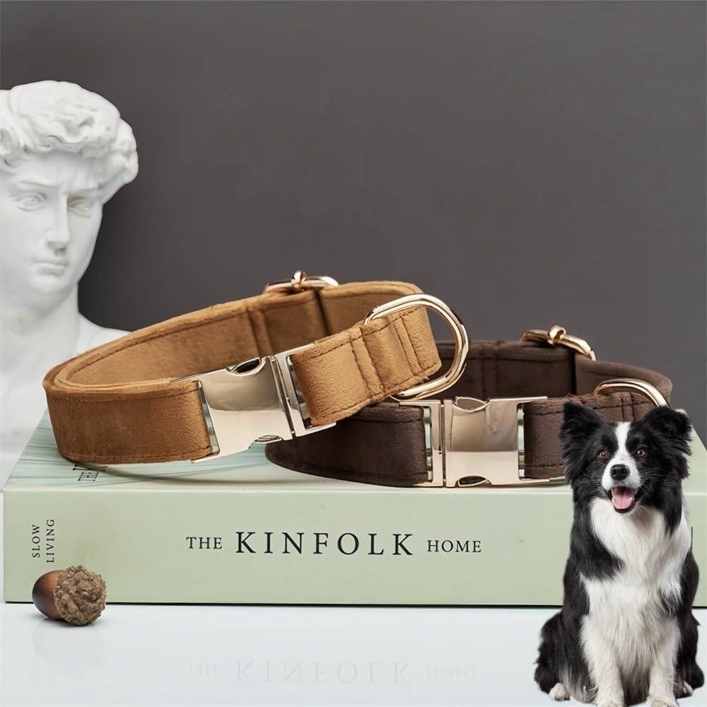 DtopbuyAge - Collier et Laisse Réglable pour Chien M DtopbuyAge - Image 3