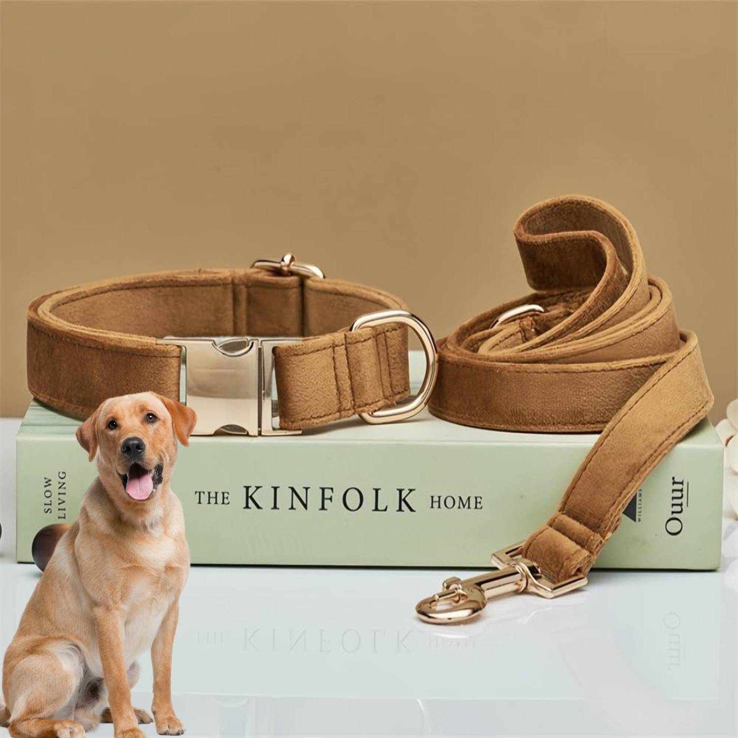 DtopbuyAge - Collier et Laisse Réglable pour Chien M DtopbuyAge - Image 2