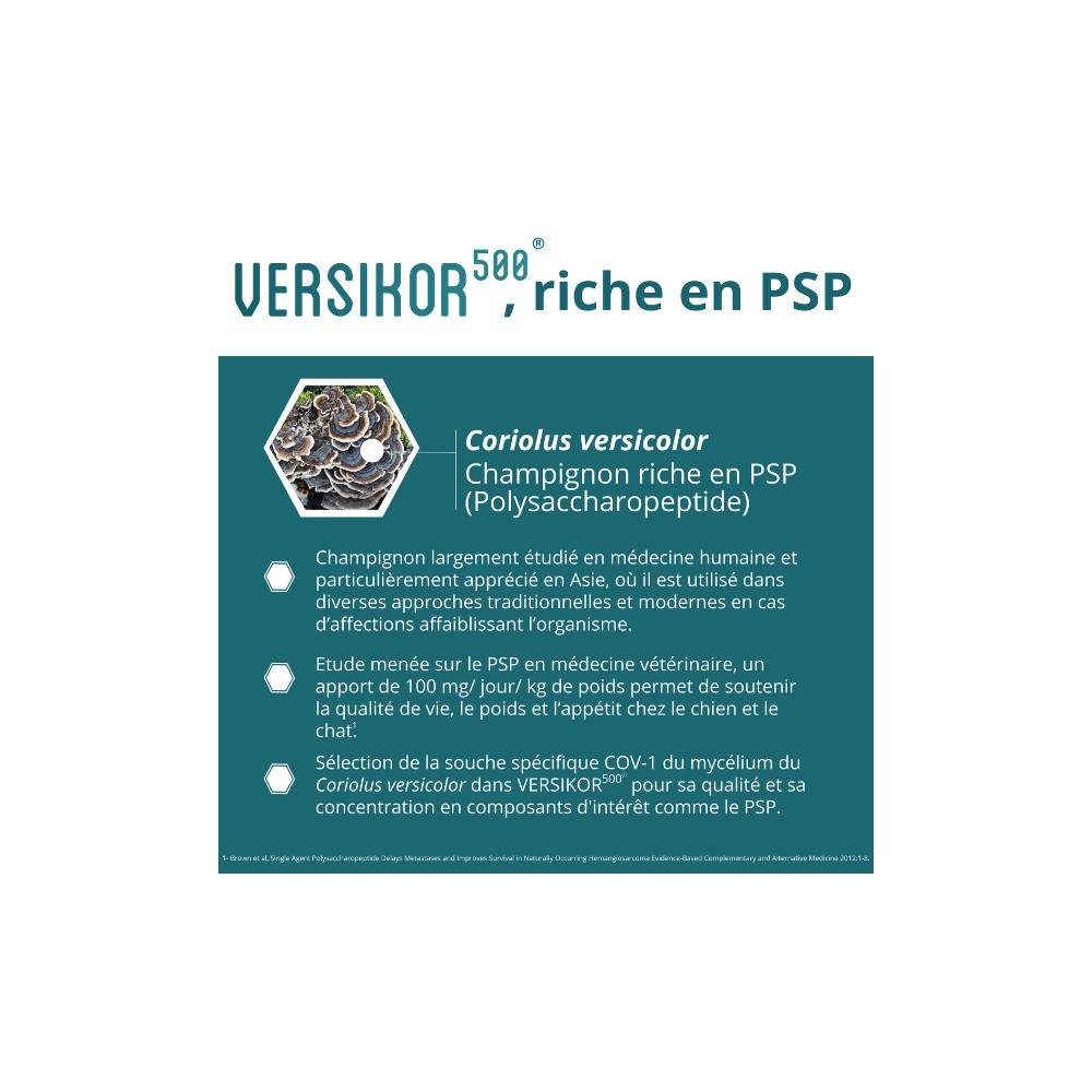 VERSIKOR® 1250 Chews Chien - Osalia 45 bouchées - Image 3