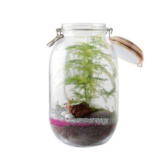 Radis et Capucine - Radis et Capucine - Terrarium à faire soi même - Fougères et Flamant rose - Image 1