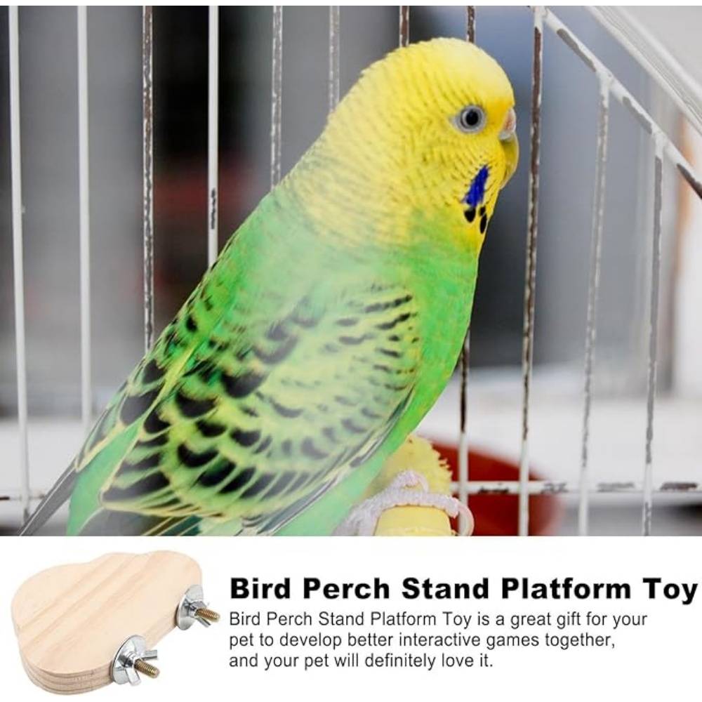 Perchoir en Bois Pour Cage d'Oiseaux Jouet - Image 3