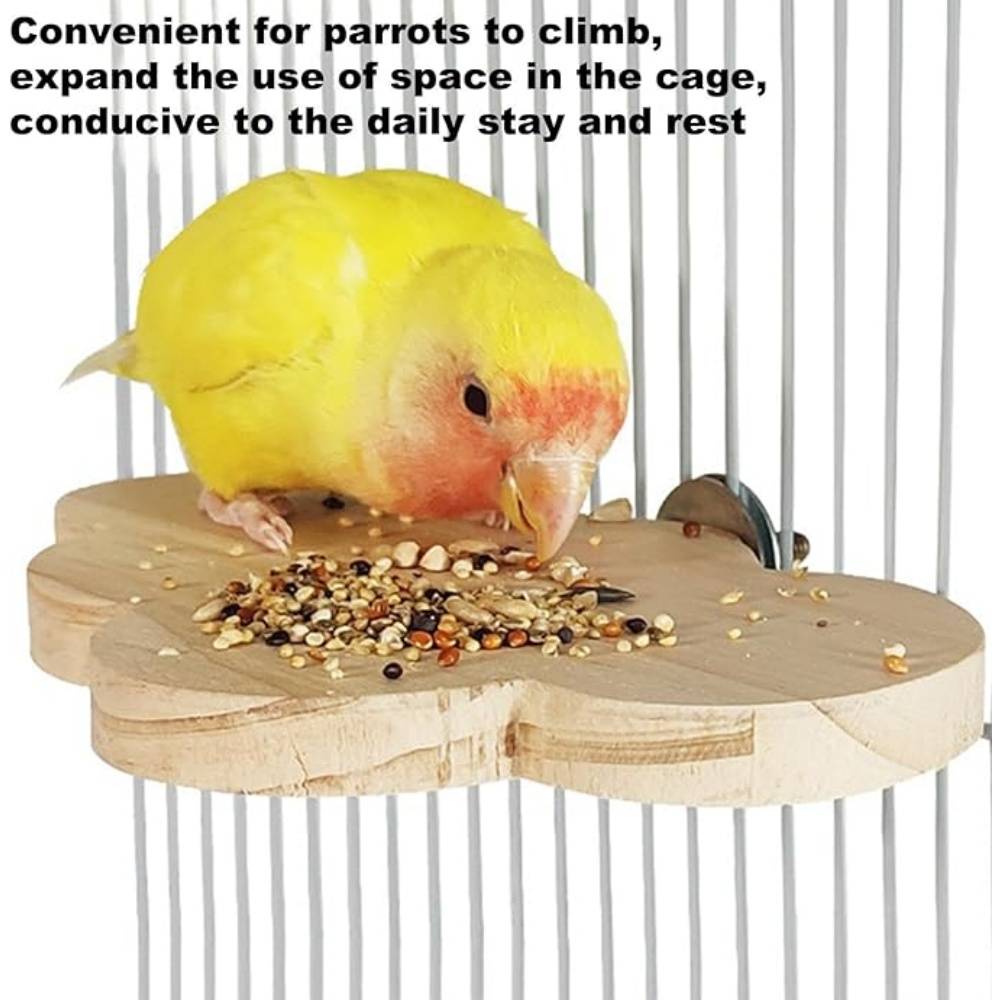 Perchoir en Bois Pour Cage d'Oiseaux Jouet - Image 5