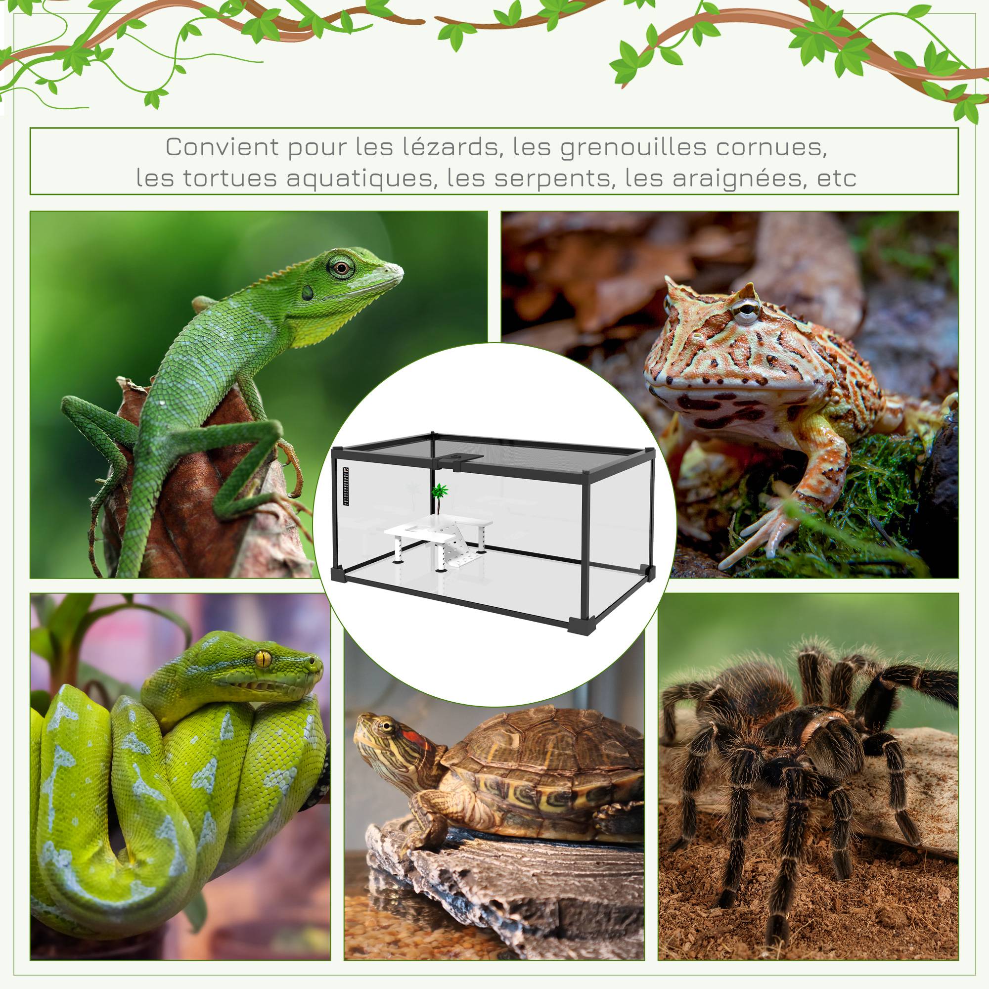 Aquarium pour Tortues avec Plateforme de Repos, Couvercle Coulissant en Filet, Thermomètre, 50x30x25cm, Blanc - Image 9