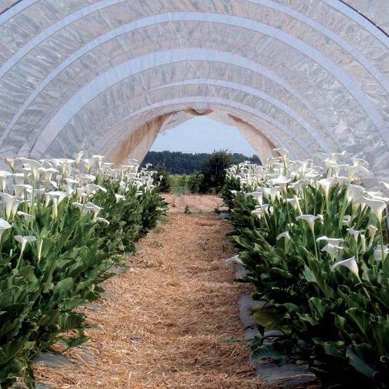 Ribimex - Bâche de protection 3x4 m 160 g/m2 - Image 2