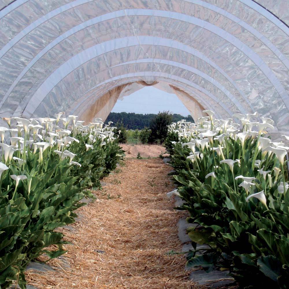 Ribimex - Bâche de protection 3x4 m 160 g/m2 - Image 2