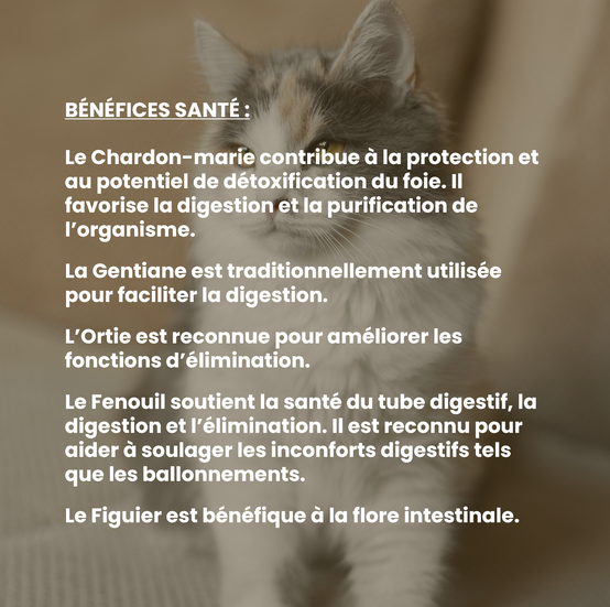 Complément alimentaire vétérinaire - Transit (digestion) chat 50 mL - VetyVert - Image 4