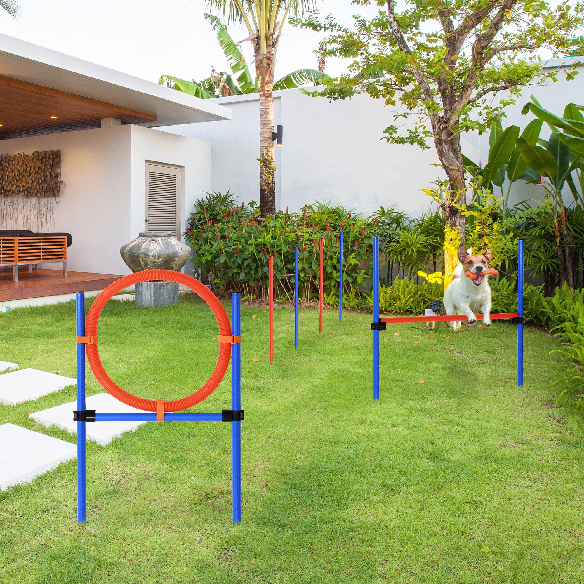 ComfortXL - Kit agilité chien à tubes légers bleu et rouge 3-en-1 pour entraînement réglable - ComfortXL Outdoor Living - Image 3